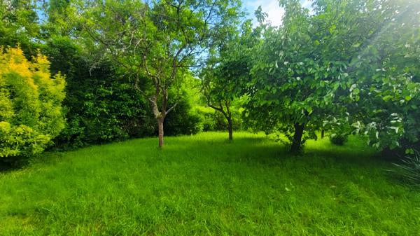 Belle opportunité : maison à rénover entièrement sur terrain de 550 M2