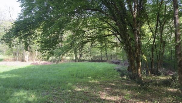 Terrain de loisir de 6056 m² traversé par un ruisseau courant