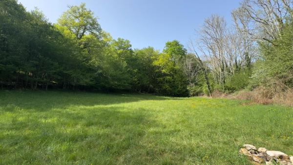 Terrain de loisir de 6056 m² traversé par un ruisseau courant