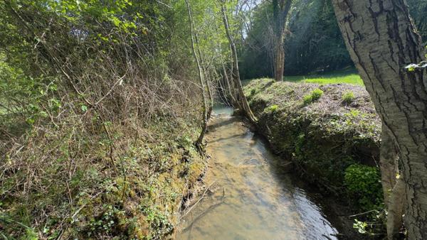 Terrain de loisir de 6056 m² traversé par un ruisseau courant