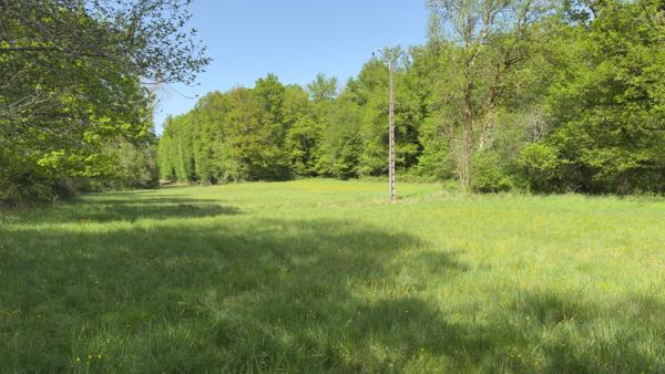 Terrain de loisir de 6056 m² traversé par un ruisseau courant