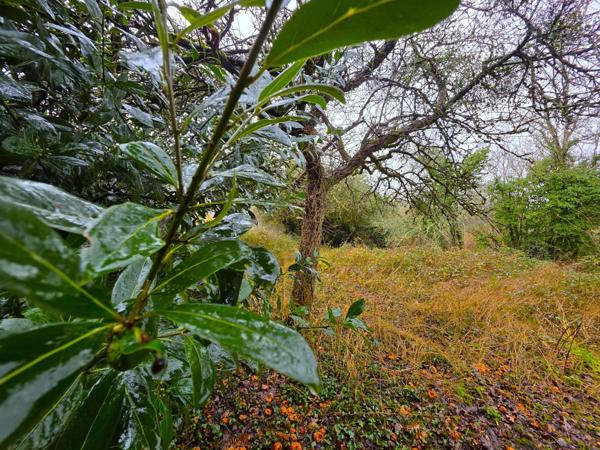 Maison de bourg rénovée, ses 4 chambres, son garage et son terrain