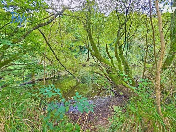 CHARME ET AUTHENTICITÉ