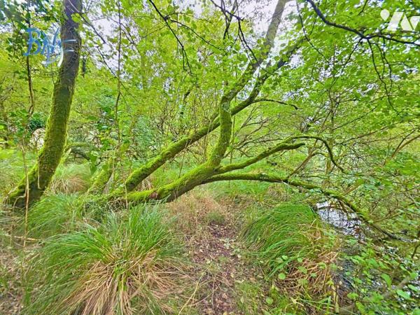 CHARME ET AUTHENTICITÉ