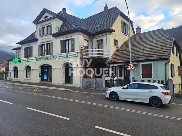 Immeuble Saint Amarin 534 m²