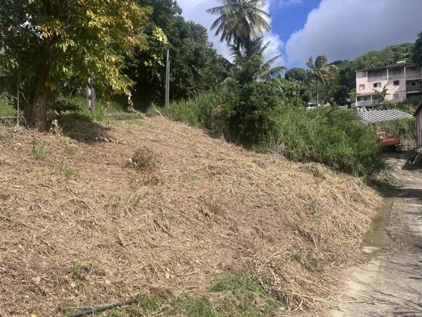 Vente Terrain 958 m2 à Rivière-Salée