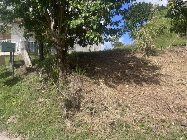 Vente Terrain 958 m2 à Rivière-Salée