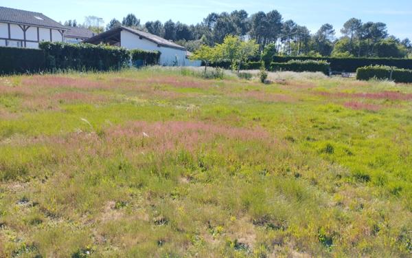 Terrain à vendre    Lit-et-Mixe