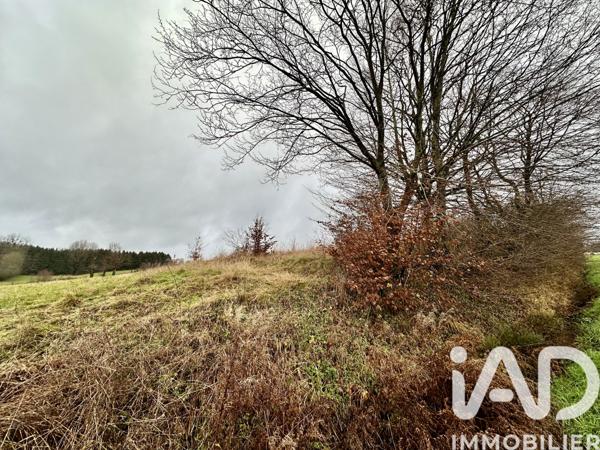 Terrain à vendre 2 000 m² Auvillers-les-Forges