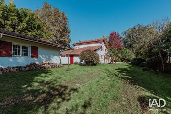 Maison à vendre 6 pièces 229 m² Urt