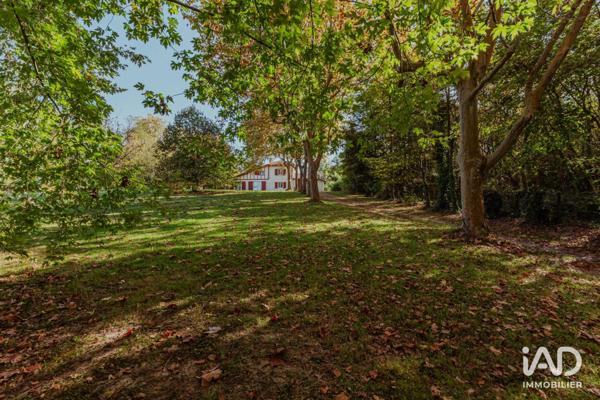 Maison à vendre 6 pièces 229 m² Urt