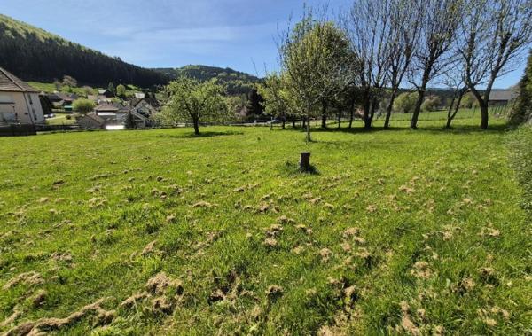 Vente Terrain Colroy-la-roche   