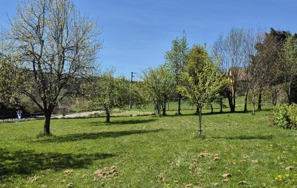 Vente Terrain Colroy-la-roche   