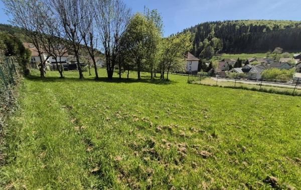 Vente Terrain Colroy-la-roche   