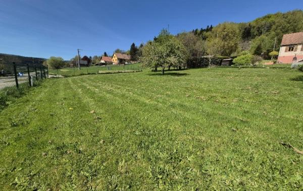 Vente Terrain Colroy-la-roche   