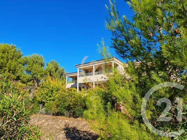 Appartement T2 à vendre  2 pièces - 40,69 m2 PATRIMONIO - 202