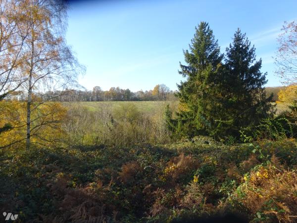 TERRAIN DE LOISIRS A VENDRE A SOIZE