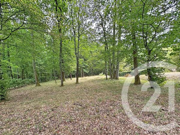 Maison à vendre  6 pièces - 123,80 m 2   LAMOTTE BEUVRON  - 41