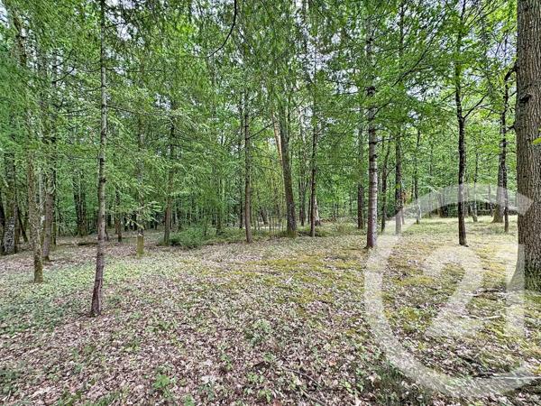 Maison à vendre  6 pièces - 123,80 m 2   LAMOTTE BEUVRON  - 41