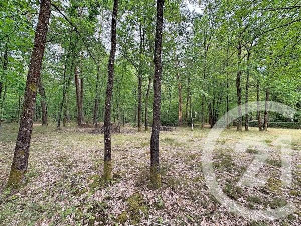 Maison à vendre  6 pièces - 123,80 m 2   LAMOTTE BEUVRON  - 41