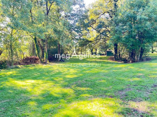 Terrain à MAULEVRIER, 49360 - 9232m²