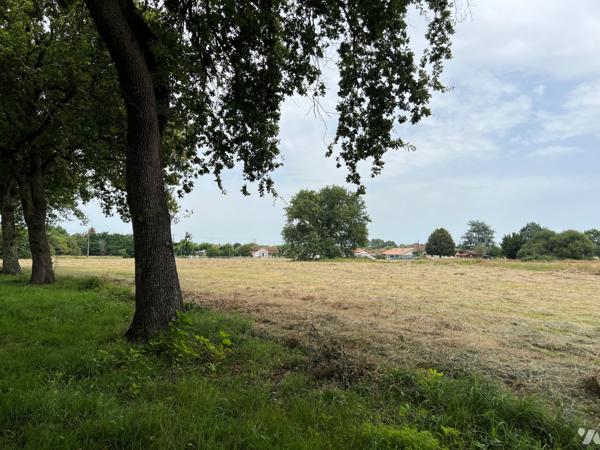 TERRAIN A BATIR 43 959 m2