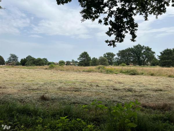 TERRAIN A BATIR 43 959 m2