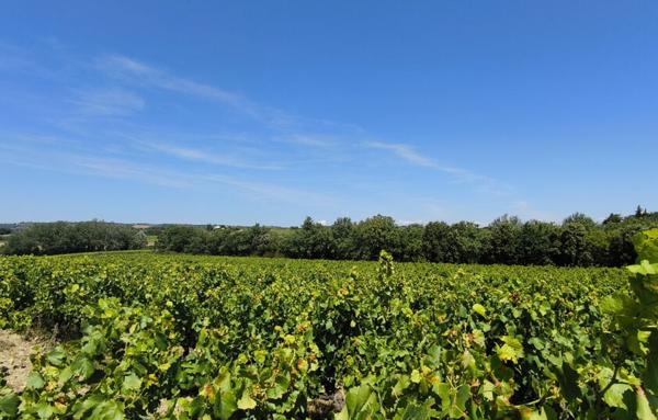 Terrain Agricole de 200 000 m²