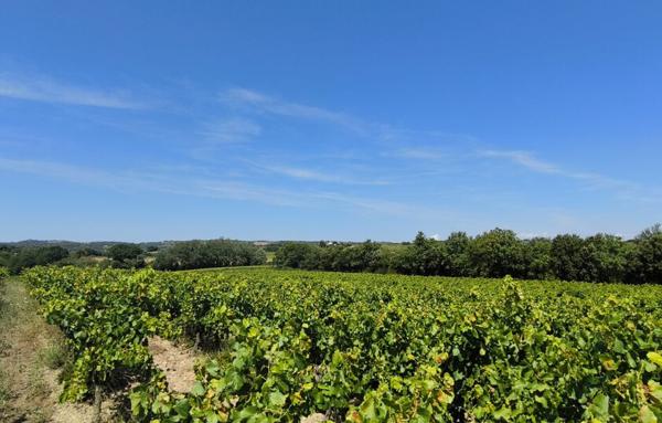 Terrain Agricole de 200 000 m²