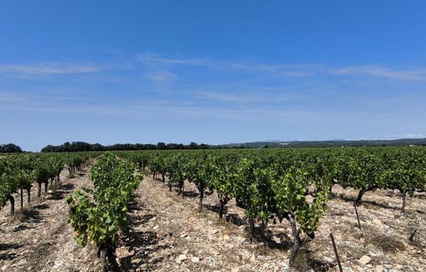 Terrain Agricole de 200 000 m²