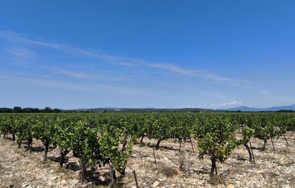 Terrain Agricole de 200 000 m²