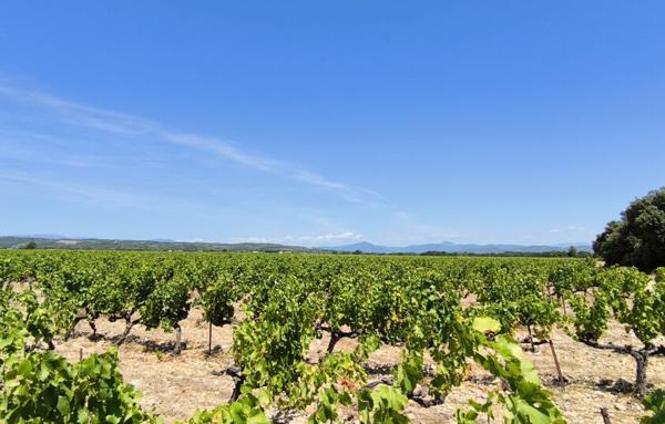 Terrain Agricole de 200 000 m²