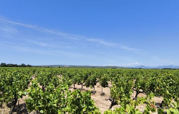 Terrain Agricole de 200 000 m²