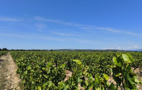 Terrain Agricole de 200 000 m²