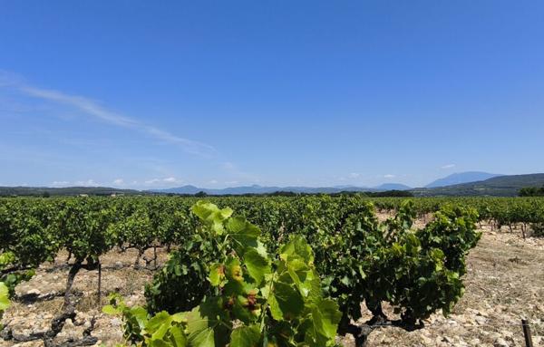 Terrain Agricole de 200 000 m²