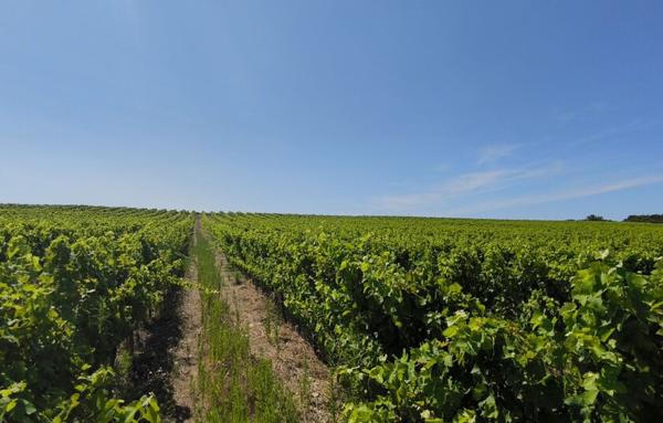 Terrain Agricole de 200 000 m²