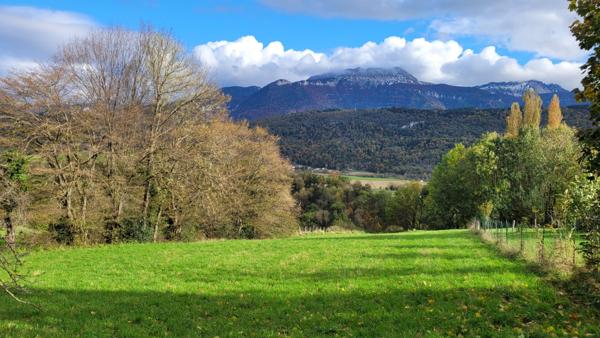 Terrain
