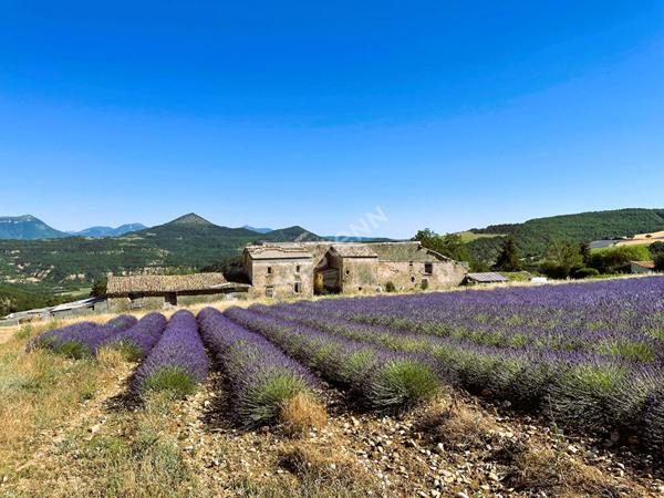Château à vendre à Thoard - Référence 1412