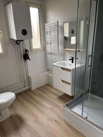 Appartement à louer à Nancy (54000)