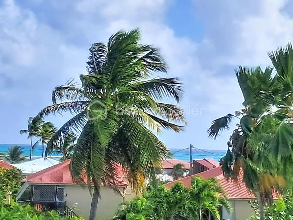 NOUVEAUTE 
Delphine MIRANDA pour BSK Immobilier 

Saint François , en plein coeur de ville avec tous les commerces et la plage à pied , je vous propose cet appartement T2 en duplex d'une surface utile de 42,19 m2 dans une résidence sécurisée avec piscines.
Situé au deuxième et dernier étage il bénéficie d'une jolie vue mer , atout incontestable dans le cadre d'un investissement locatif.
Il se compose d'une entrée avec rangements, une salle d'eau avec douche, un toilette séparé et une pièce de vie salon de 12 m2 avec canapé convertible dotée d'une belle hauteur sous plafond.
A l'étage en duplex une mezzanine avec sa chambre à coucher climatisée et ses rangements (armoire et commode).
Sur la loggia terrasse la cuisine équipée avec cette vue dégagée mer ventilée par les alizés.

La résidence est sécurisée , elle dispose d'un parc en plein coeur de ville et de 3 piscines à votre convenance.
On accède à toutes les commodités à pied (restaurants, commerces, supermarché) et à la plage !
Vendu meublé clé en main, à vous de choisir sa destination : habitation principale ou investissement locatif.

N'hésitez pas à me contacter pour de plus amples informations , échangeons sur votre projet , demandez la vidéo complète .
Merci de privilégier le premier contact par appel ou sms whatsapp.

Les charges de copropriété incluent : le fond de roulement du syndic, l'entretien des communs, piscine et jardins, wifi de la résidence.
