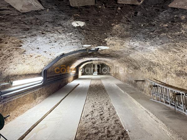 Vente Maison380 m² - 11 Pièces - Montbazon (37250)