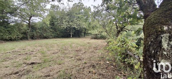 Terrain à vendre 2 600 m² Les Aix-d'Angillon