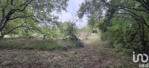 Terrain à vendre 2 600 m² Les Aix-d'Angillon