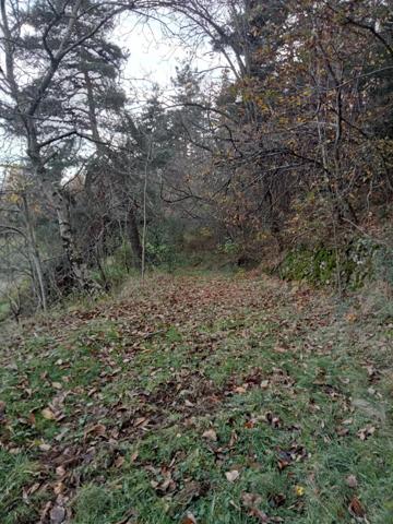 Maison ardéchoise sur 4886M² de terrain attenant