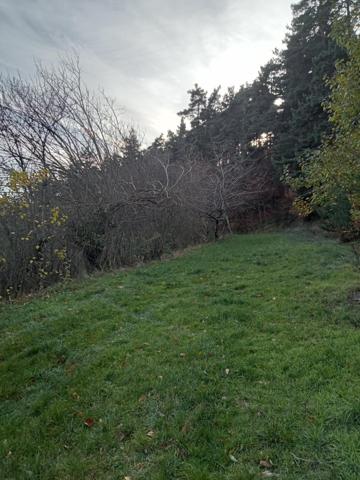 Maison ardéchoise sur 4886M² de terrain attenant