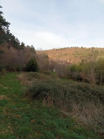 Maison ardéchoise sur 4886M² de terrain attenant