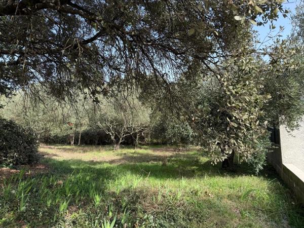 Terrain viabilisé 529 m² – Castries – proche Montpellier