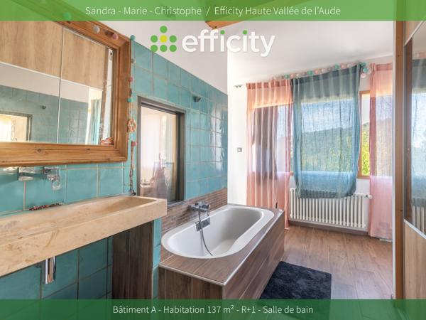 Maison 15 pièces - 416 m² Bien prestige