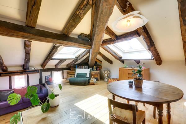 Duplex de charme sous les toits