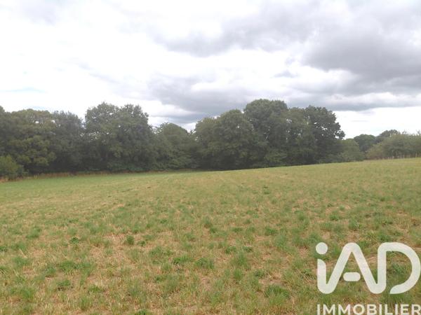 Terrain à vendre 1 420 m² Royères